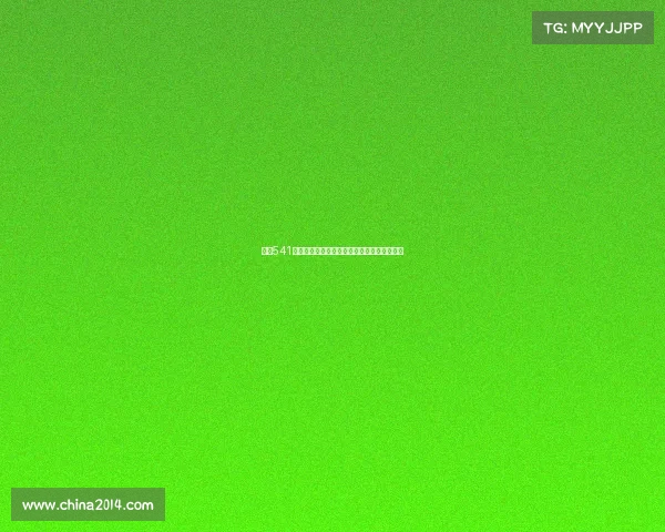 西甲541阵型战术解析及其在现代足球中的应用与演变